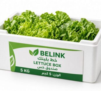 Lettuce Box | صندوق خس