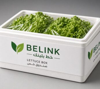 Lettuce Box | صندوق خس