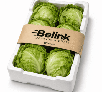 Lettuce Box | صندوق خس