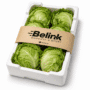 Lettuce Box | صندوق خس