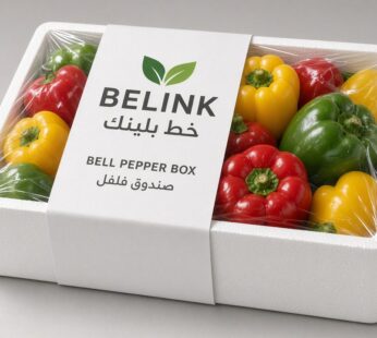 Bell Pepper Box | صندوق فلفل حلو