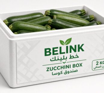Zucchini Box | صندوق كوسة