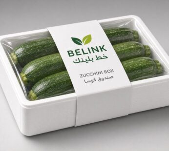 Zucchini Box | صندوق كوسة