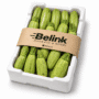 Zucchini Box | صندوق كوسة