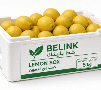 Lemon Box | صندوق ليمون