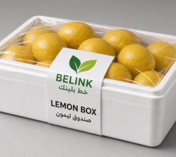 Lemon Box | صندوق ليمون