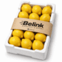 Lemon Box | صندوق ليمون