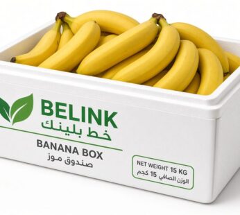 Banana Box | صندوق موز