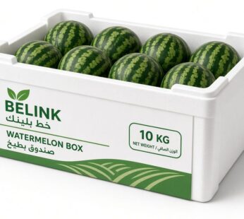 Watermelon Box | صندوق بطيخ