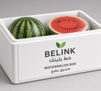 Watermelon Box | صندوق بطيخ