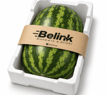 Watermelon Box | صندوق بطيخ